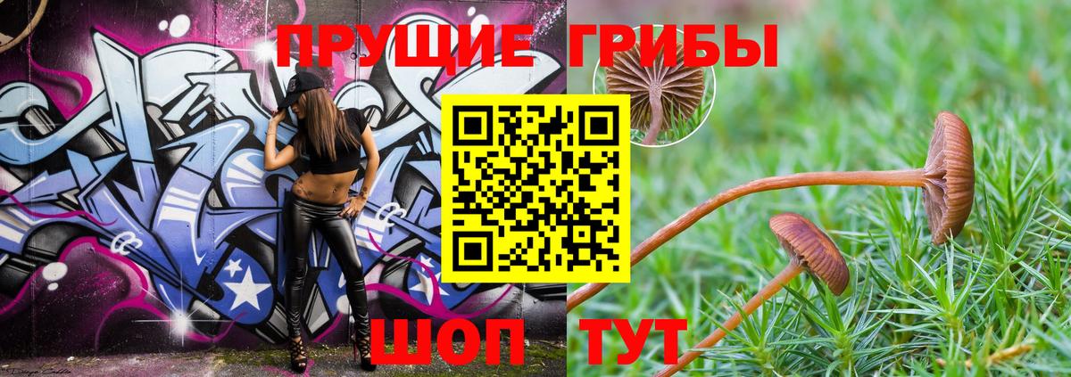 Галлюциногенные грибы Psilocybe  Псилоцибиновые грибы мухоморы  Ревда  наркотики  Вход с VPN 